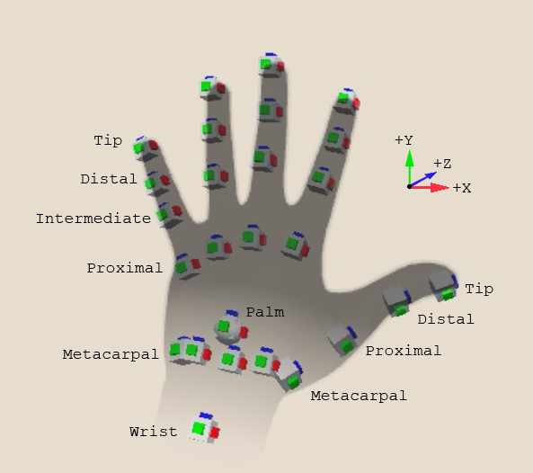 Hand Data Model