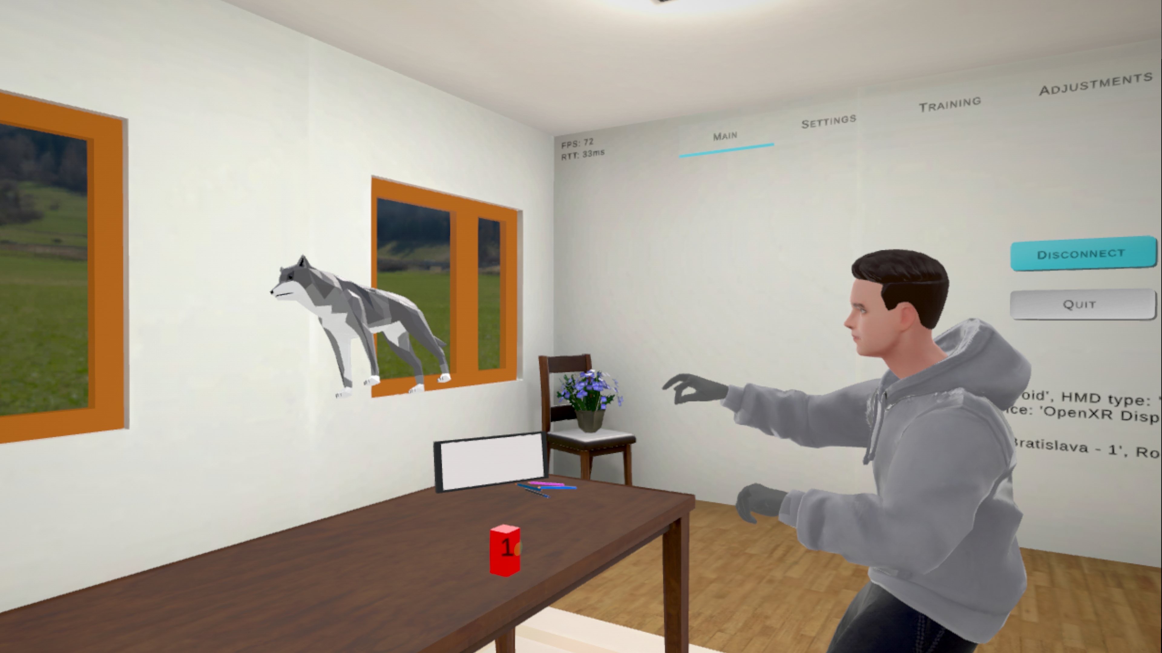 Raycast Other Person